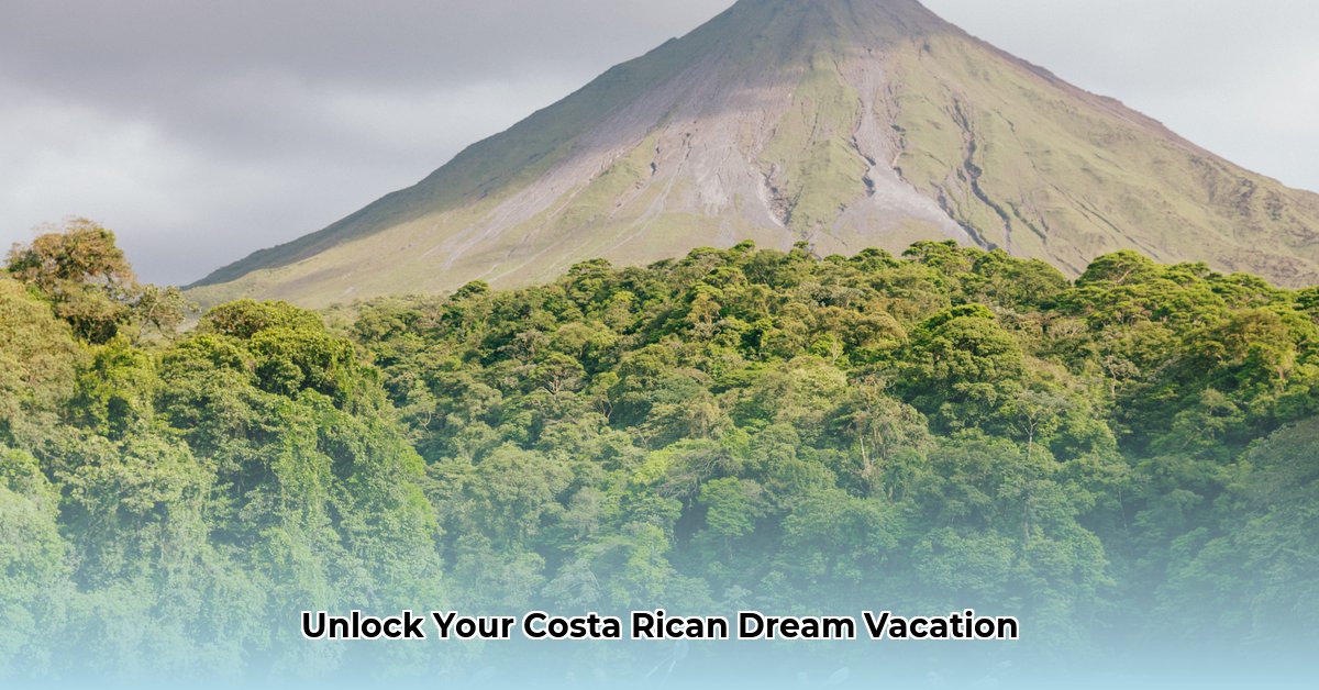 amstar-dmc-costa-rica